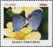 Stamp, Butterflies, Cinderellas,  , Butterflies, Insects