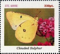Butterflies