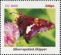Stamp, Butterflies, Cinderellas,  , Butterflies, Insects