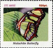 Butterflies