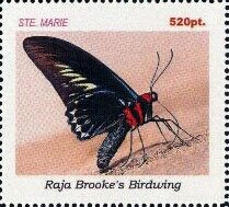 Stamp, Butterflies, Cinderellas,  , Butterflies, Insects