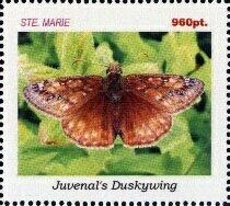 Stamp, Butterflies, Cinderellas,  , Butterflies, Insects