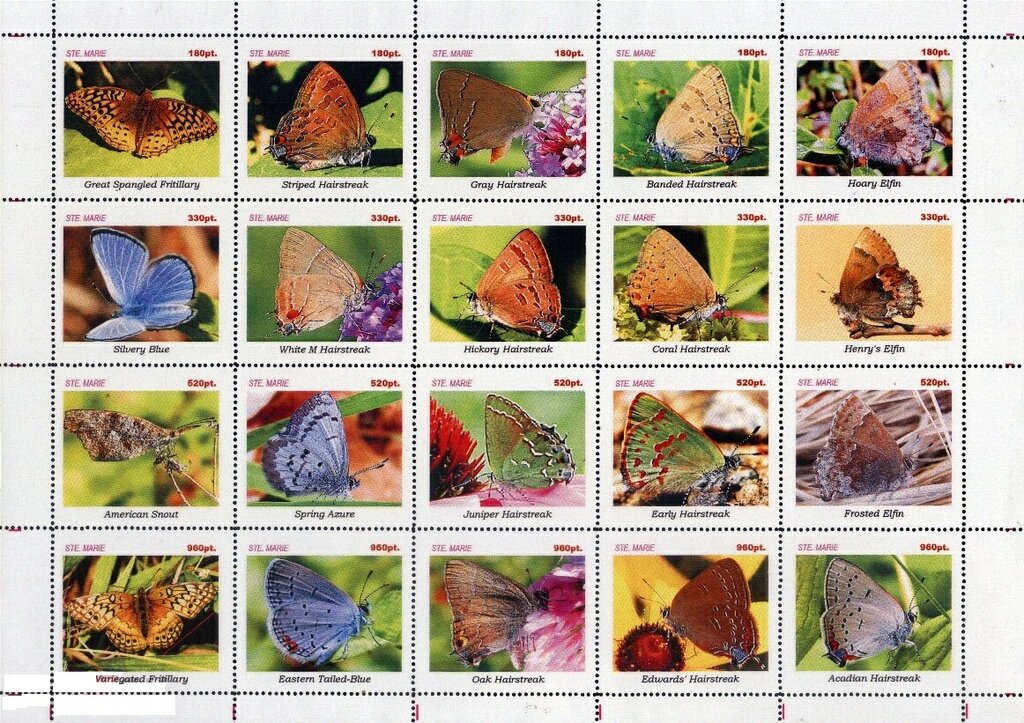 Butterflies