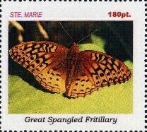 Butterflies
