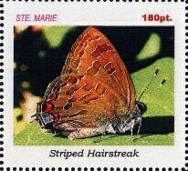 Butterflies