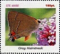 Butterflies