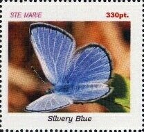 Butterflies