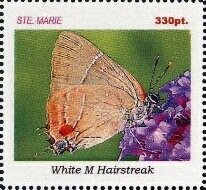 Butterflies