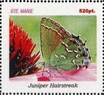Butterflies