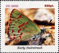 Butterflies