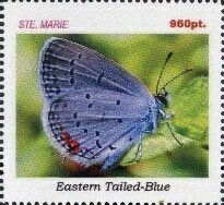 Butterflies