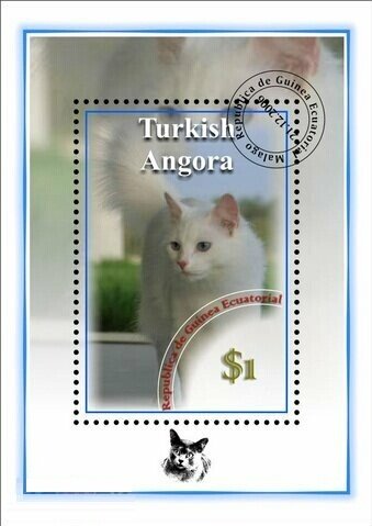 Cats