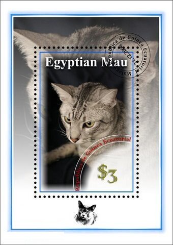 Cats