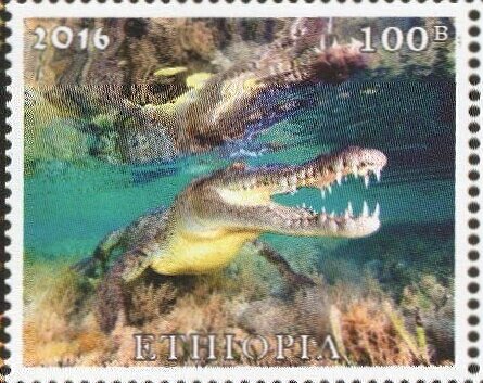 Crocodiles