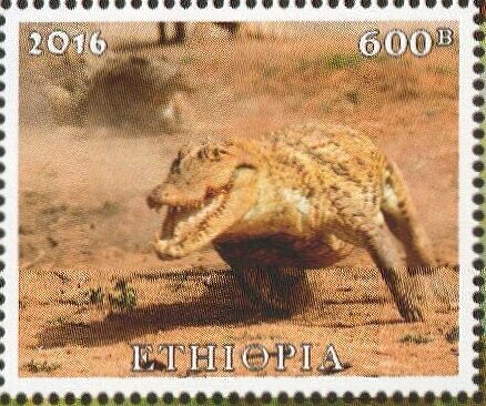 Crocodiles
