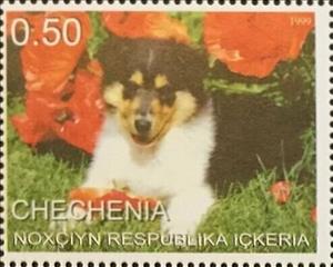 Stamp, Dog, Cinderellas,  , Animals (Fauna), Dogs