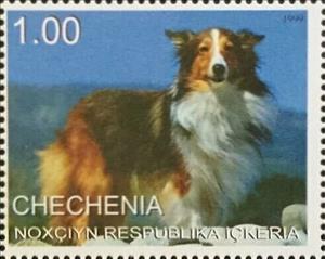 Stamp, Dog, Cinderellas,  , Animals (Fauna), Dogs
