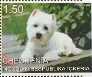 Stamp, Dog, Cinderellas,  , Animals (Fauna), Dogs