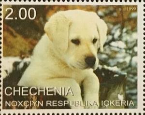 Stamp, Dog, Cinderellas,  , Animals (Fauna), Dogs