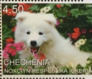 Stamp, Dog, Cinderellas,  , Animals (Fauna), Dogs