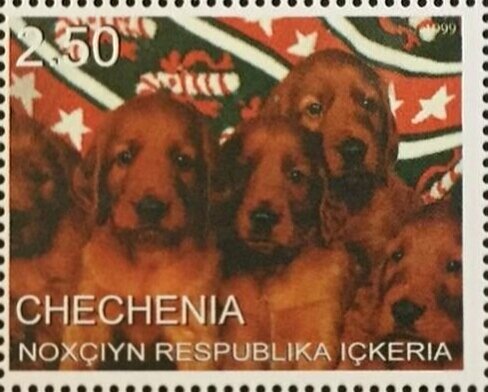 Dogs
