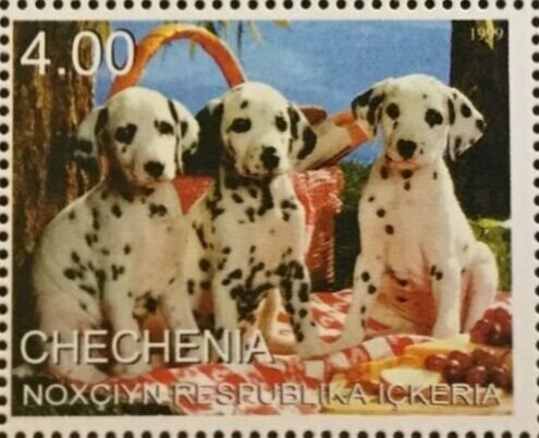 Dogs