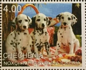Stamp, Dogs, Cinderellas,  , Animals (Fauna), Dogs