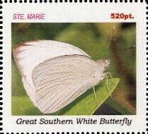 Great southern white