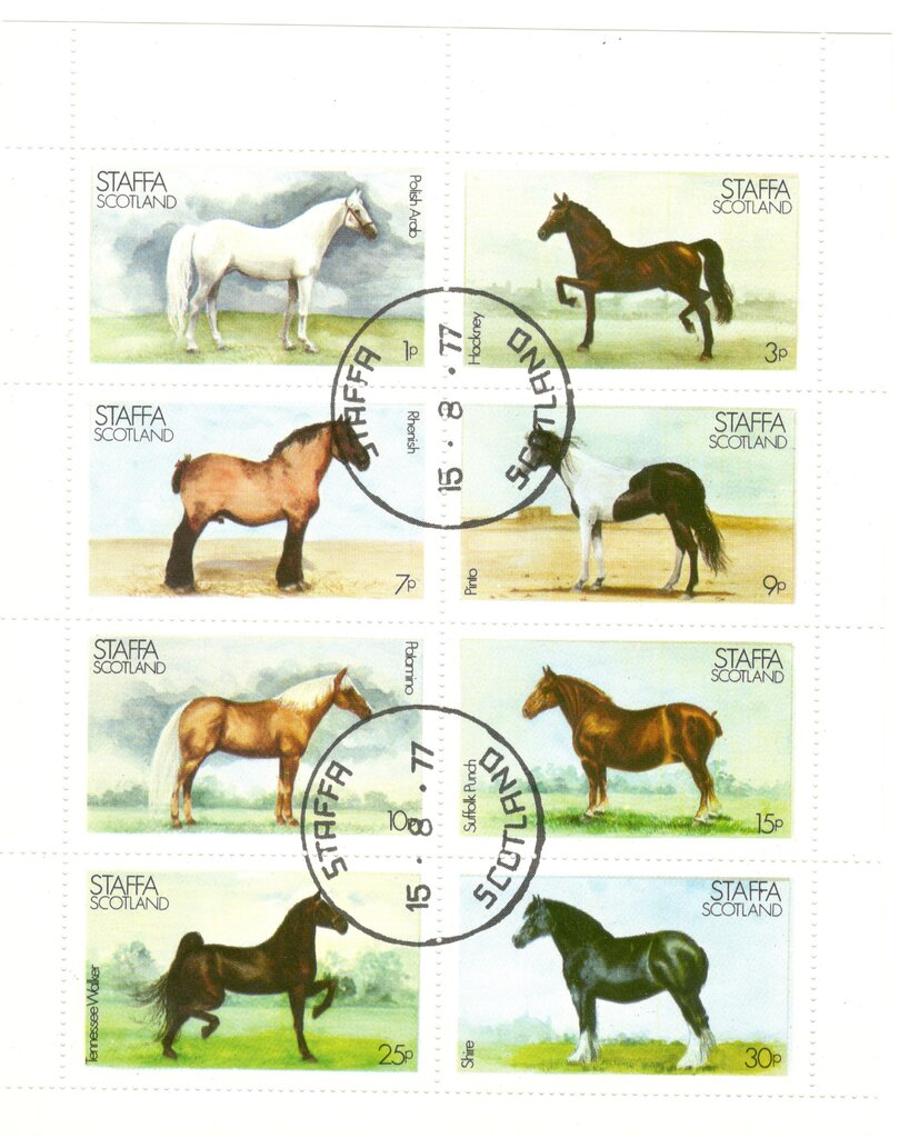 Horses
