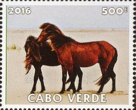 Horses