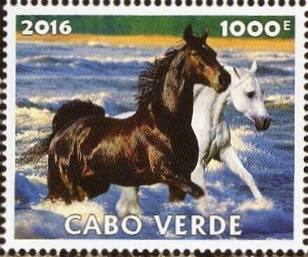 Horses