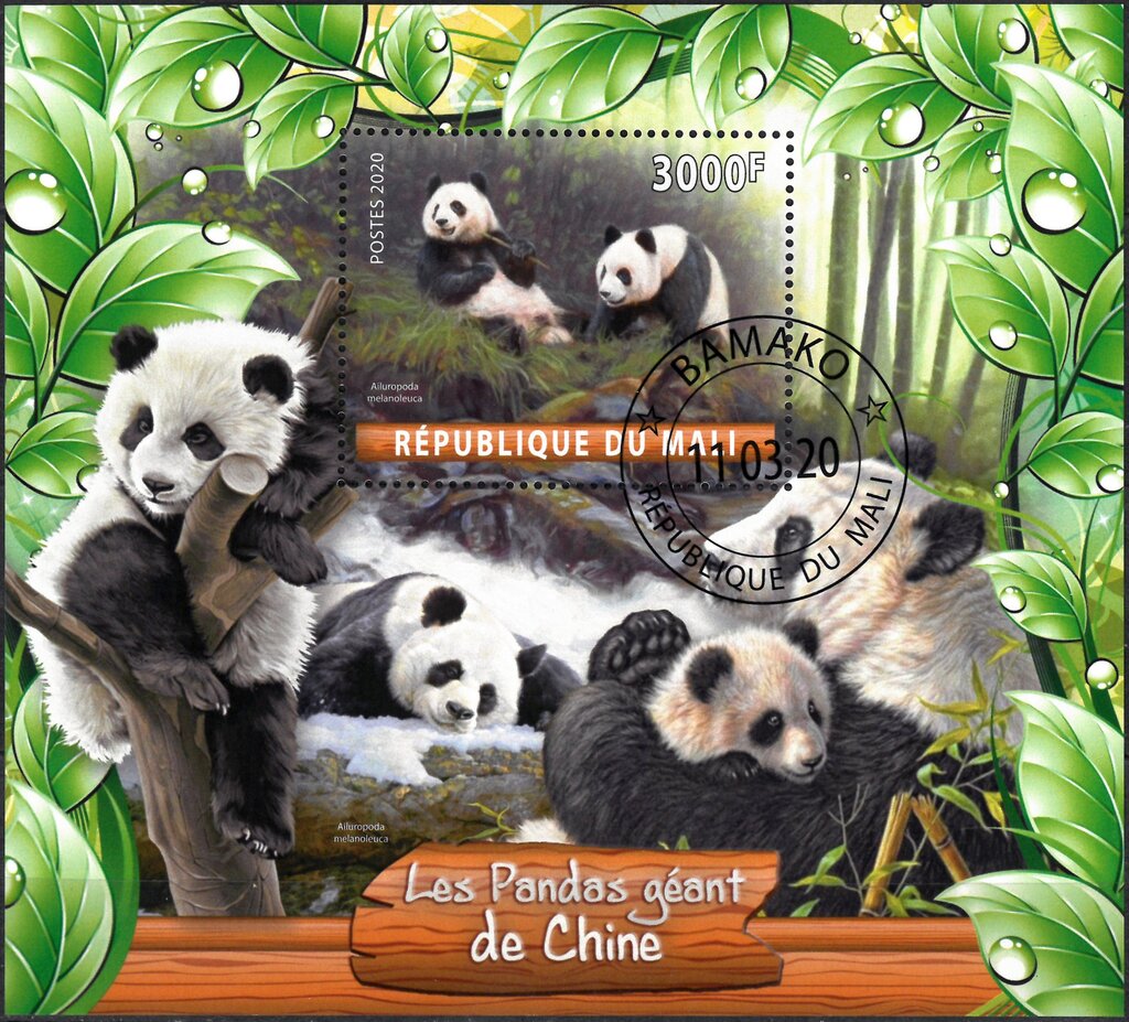 Les Pandas geant de Chine