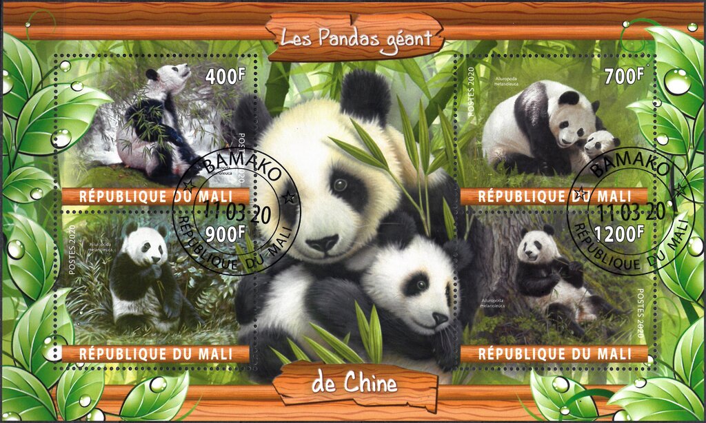 Les Pandas geant de Chine