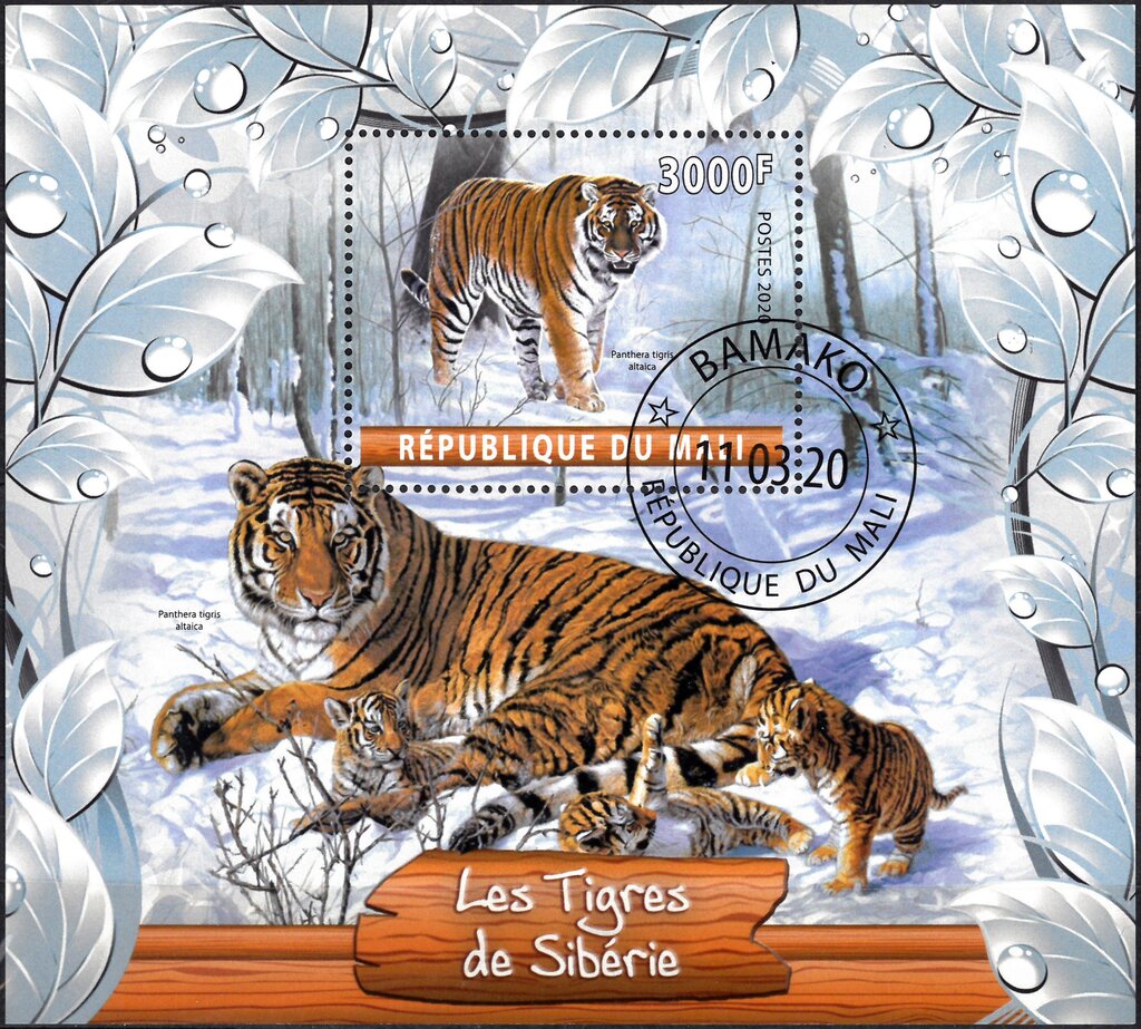 Les Tigres de Siberie