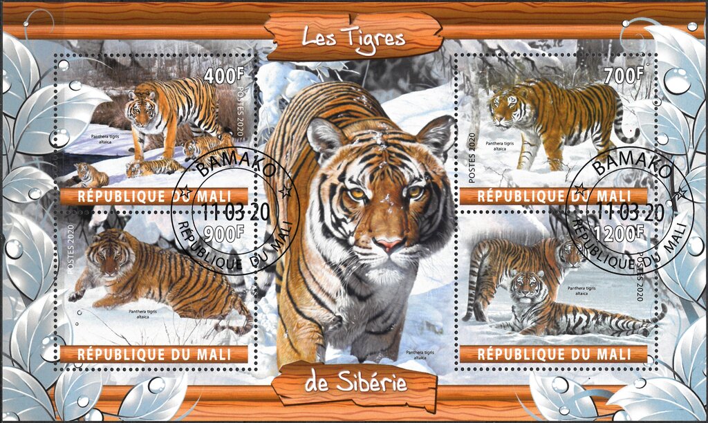 Les Tigres de Siberie