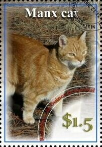 Stamp, Manx cat, Cinderellas,  , Animals (Fauna), Cats