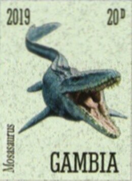 Mosasaurus