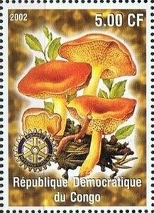 Stamp, Mushrooms, Cinderellas,  , Mushrooms, Plants (Flora)