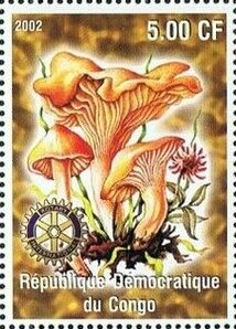 Stamp, Mushrooms, Cinderellas,  , Mushrooms, Plants (Flora)