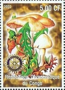 Mushrooms