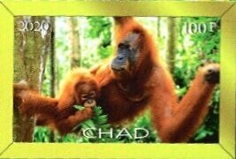 Stamp, Orangutans, Cinderellas,  , Animals (Fauna), Monkeys