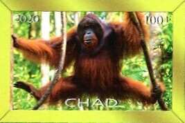 Stamp, Orangutans, Cinderellas,  , Animals (Fauna), Monkeys