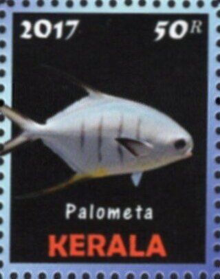 Palometa