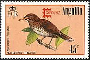 Pearly-eyed Thrasher (Margarops fuscatus)