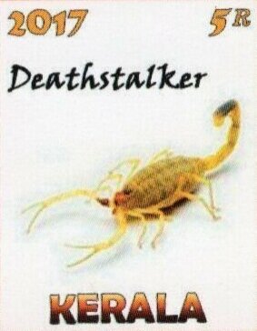 Stamp, Scorpions, Cinderellas,  , Scorpions