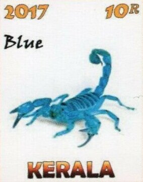 Stamp, Scorpions, Cinderellas,  , Scorpions