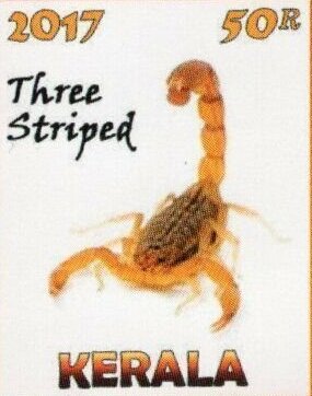 Stamp, Scorpions, Cinderellas,  , Scorpions