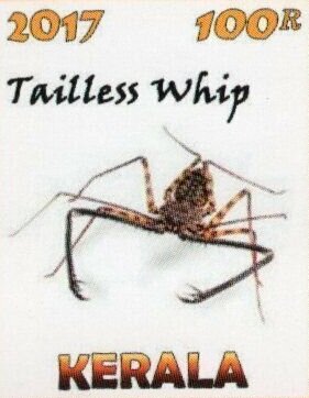 Stamp, Scorpions, Cinderellas,  , Scorpions
