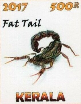 Stamp, Scorpions, Cinderellas,  , Scorpions