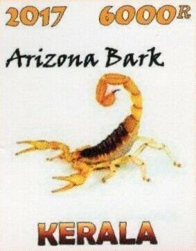 Scorpions